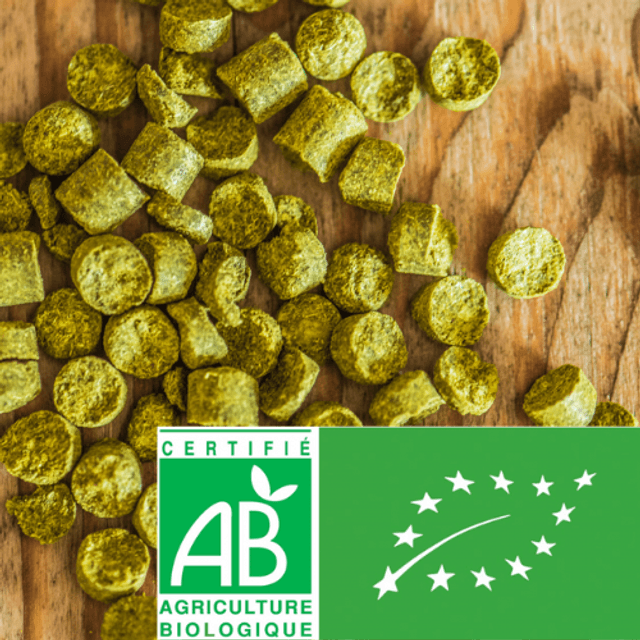 Chinook BIO (Récolte 2024)